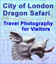 London Dragon Photography Safari